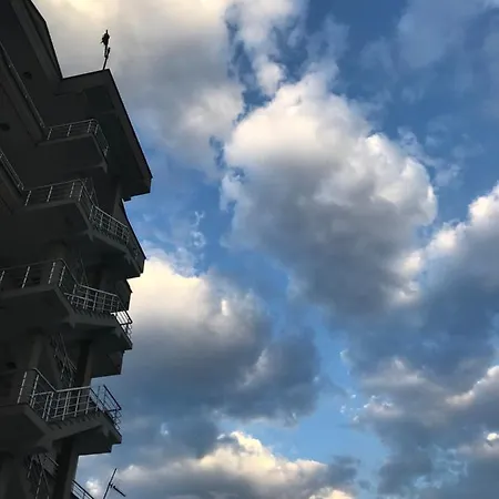 Il Palazzo *